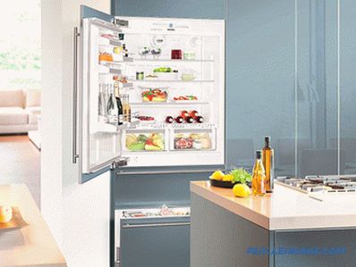Ev için buzdolapları türleri - detaylı bir inceleme
