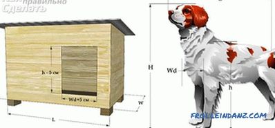 Köpek kutusu kendi elleriyle: montaj, çizimler, boyutları