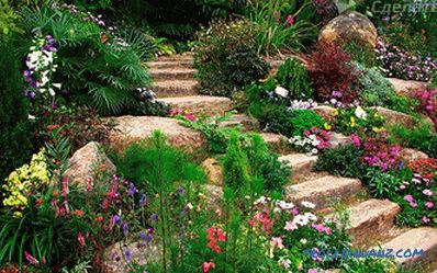 Kendin yap bahçe merdivenleri - düz olmayan alanların düzenlenmesi + çizimler