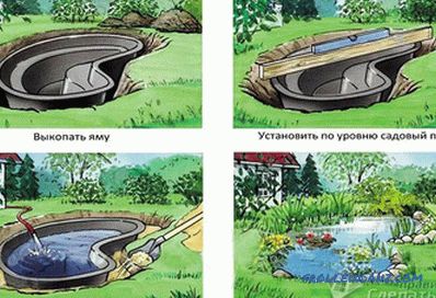 Su birikintisi kendin yap - sitede bir su birikintisi nasıl yapılır (+ fotoğraf)