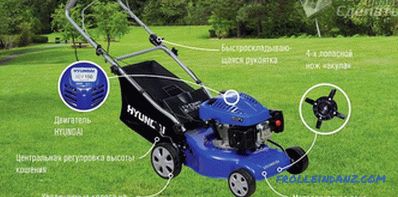 Bir çim biçme makinesi nasıl seçilir - çim biçme makinesi seçimi